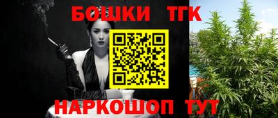 МДПВ Будённовск