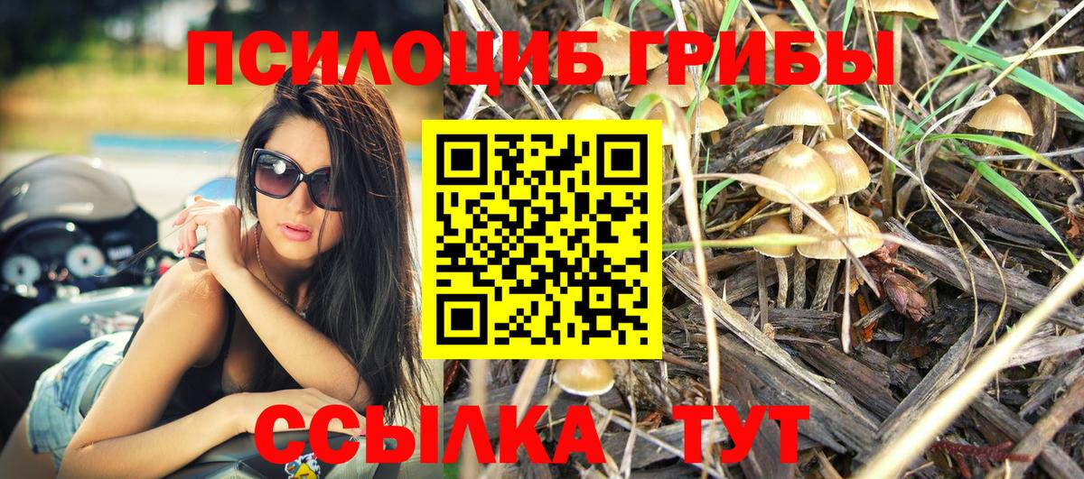 Арсеньев  Галлюциногенные грибы Cubensis  что такое наркотик  Галлюциногенные грибы MAGIC MUSHROOMS  Вход с VPN 