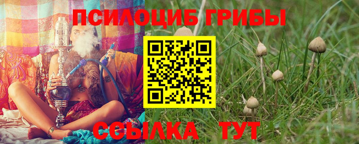 Галлюциногенные грибы Psilocybine cubensis Арсеньев